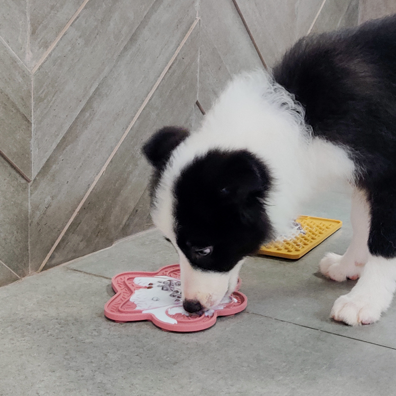 Elevating Pet Treat Time with Silicone Dog Lick Mats